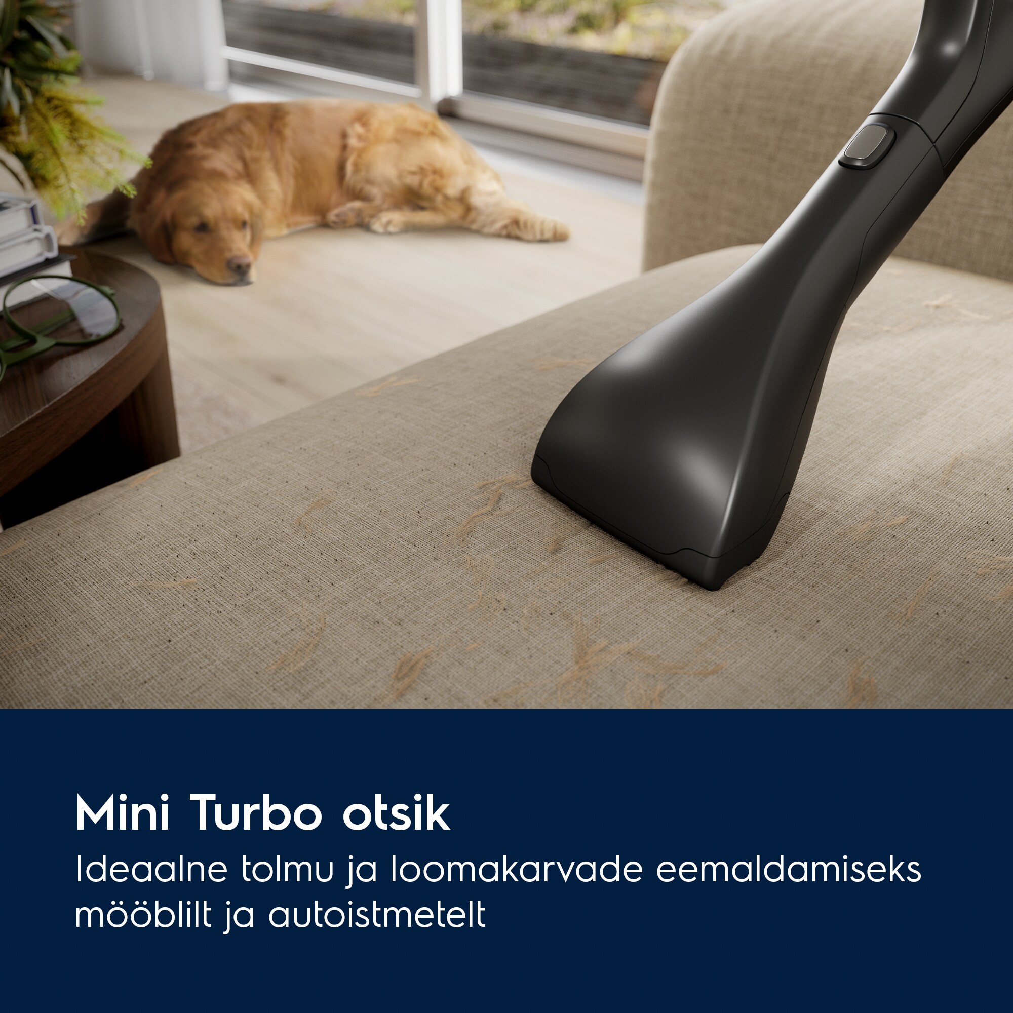 Electrolux - Tolmuimeja - EB81A3UG