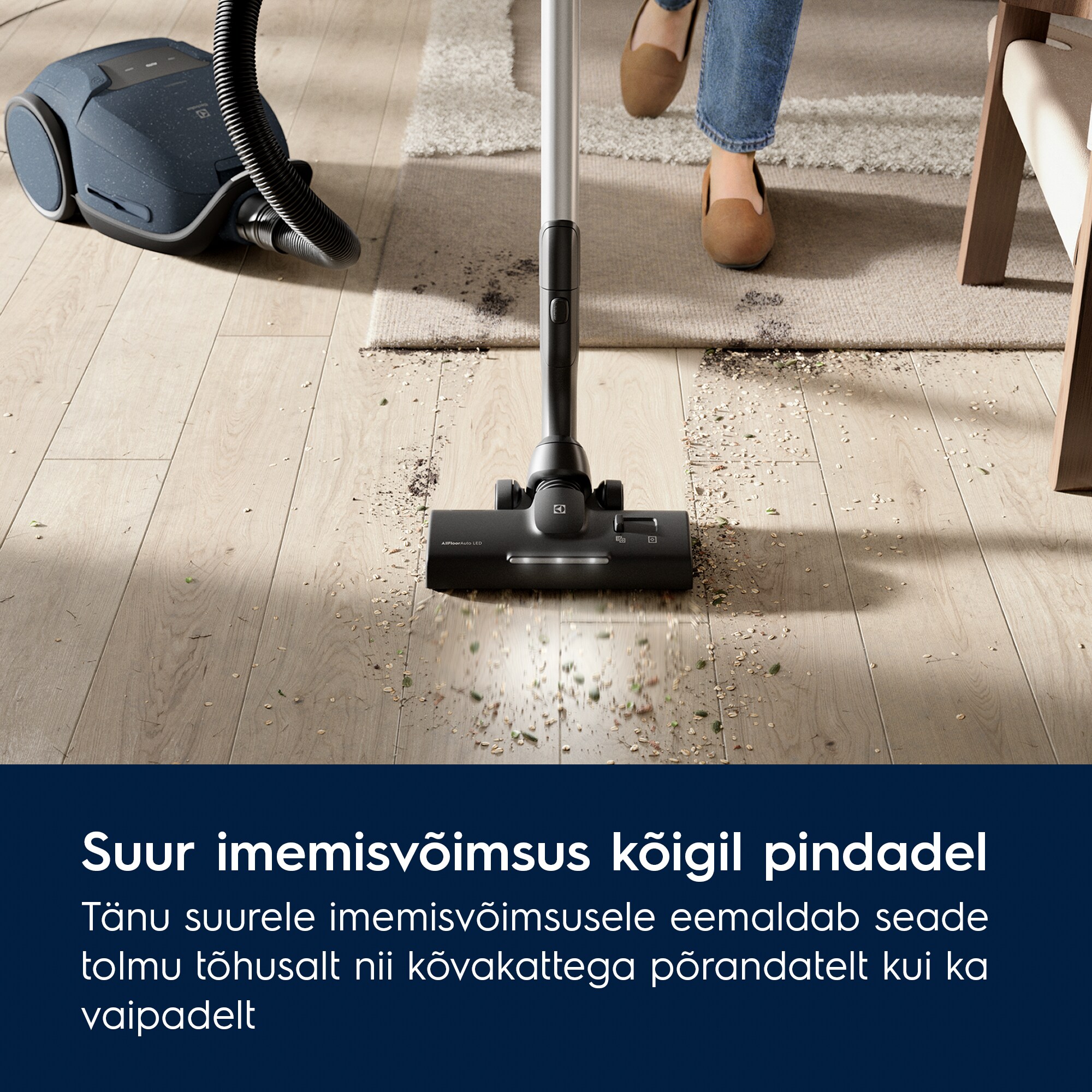 Electrolux - Tolmuimeja - EB81U1DB