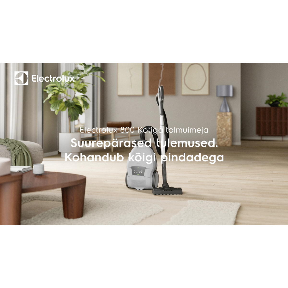 Electrolux - Tolmuimeja - EB81A3UG
