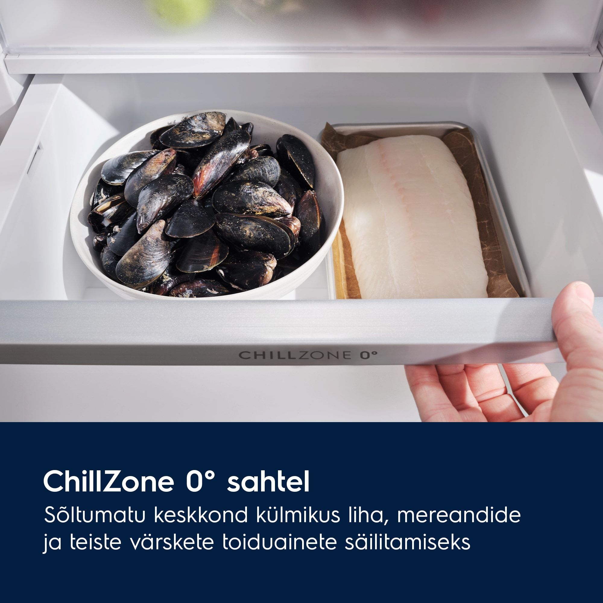 Electrolux - Külmik-sügavkülmik - ELT9VE52U0