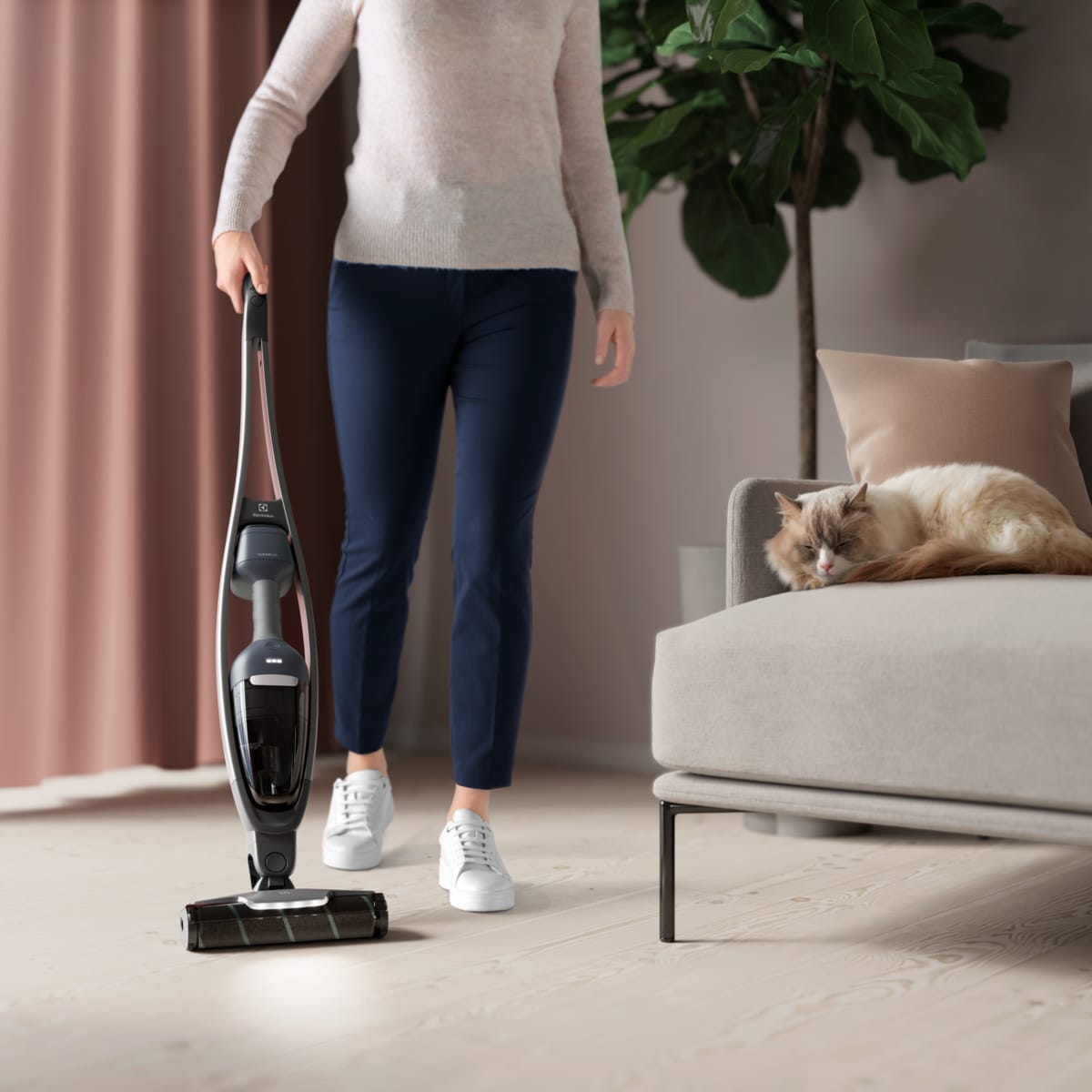 Electrolux - Juhtmeta varstolmuimejad - ES62CP25DB