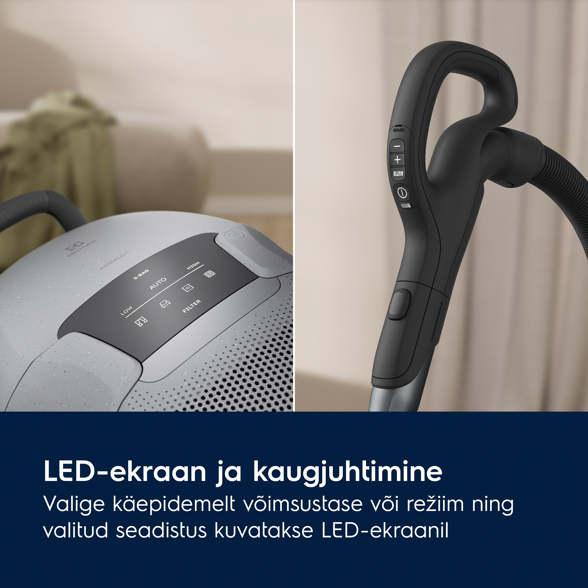 Electrolux - Tolmuimeja - EB81A3UG
