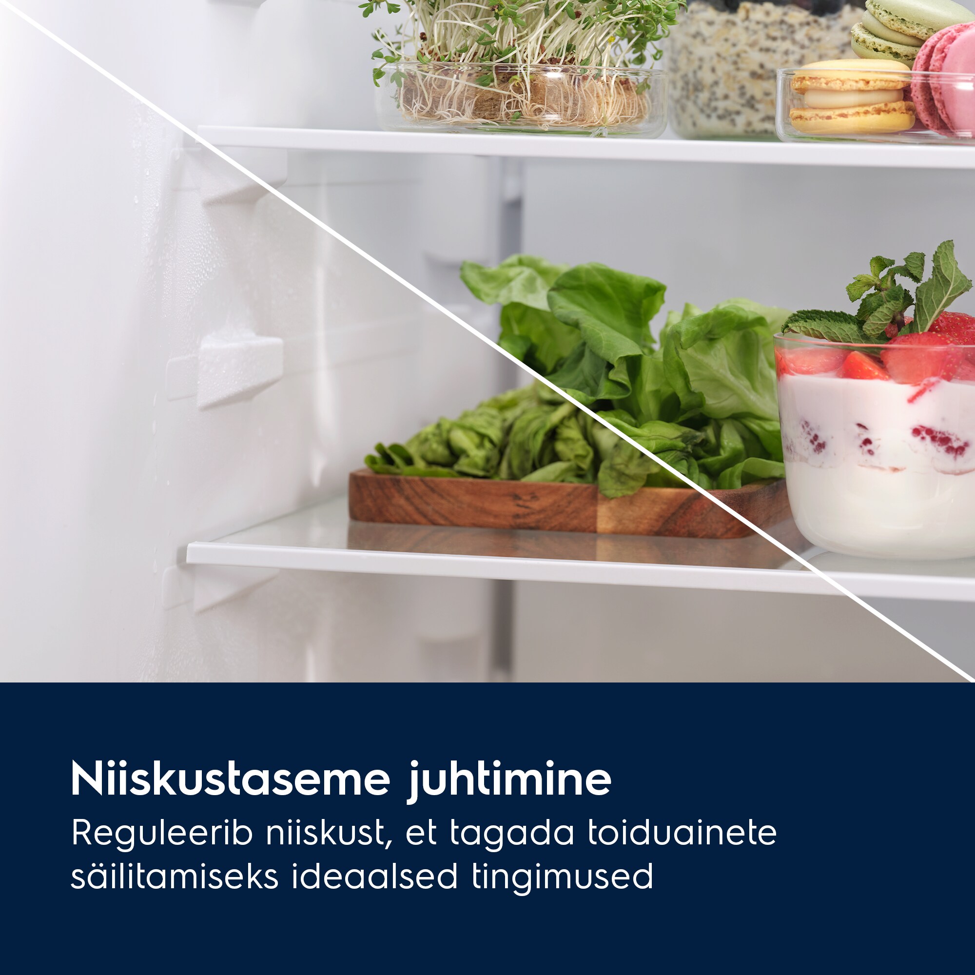 Electrolux - Integreeritav külmik-sügavkülmik - LNS5LE18S