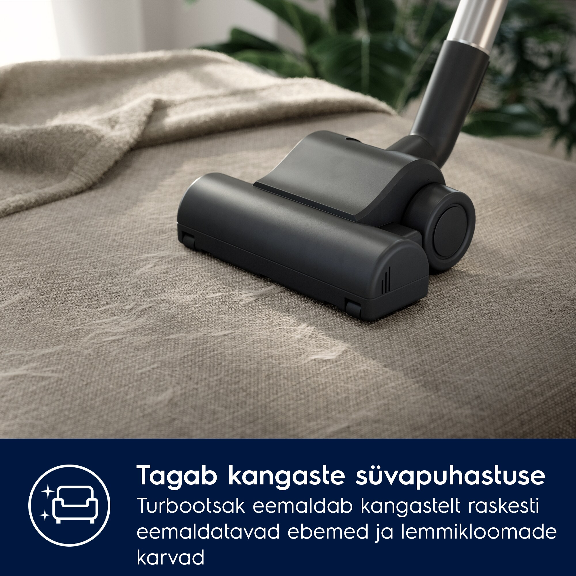 Electrolux - Tolmuimeja - EB61A5UG