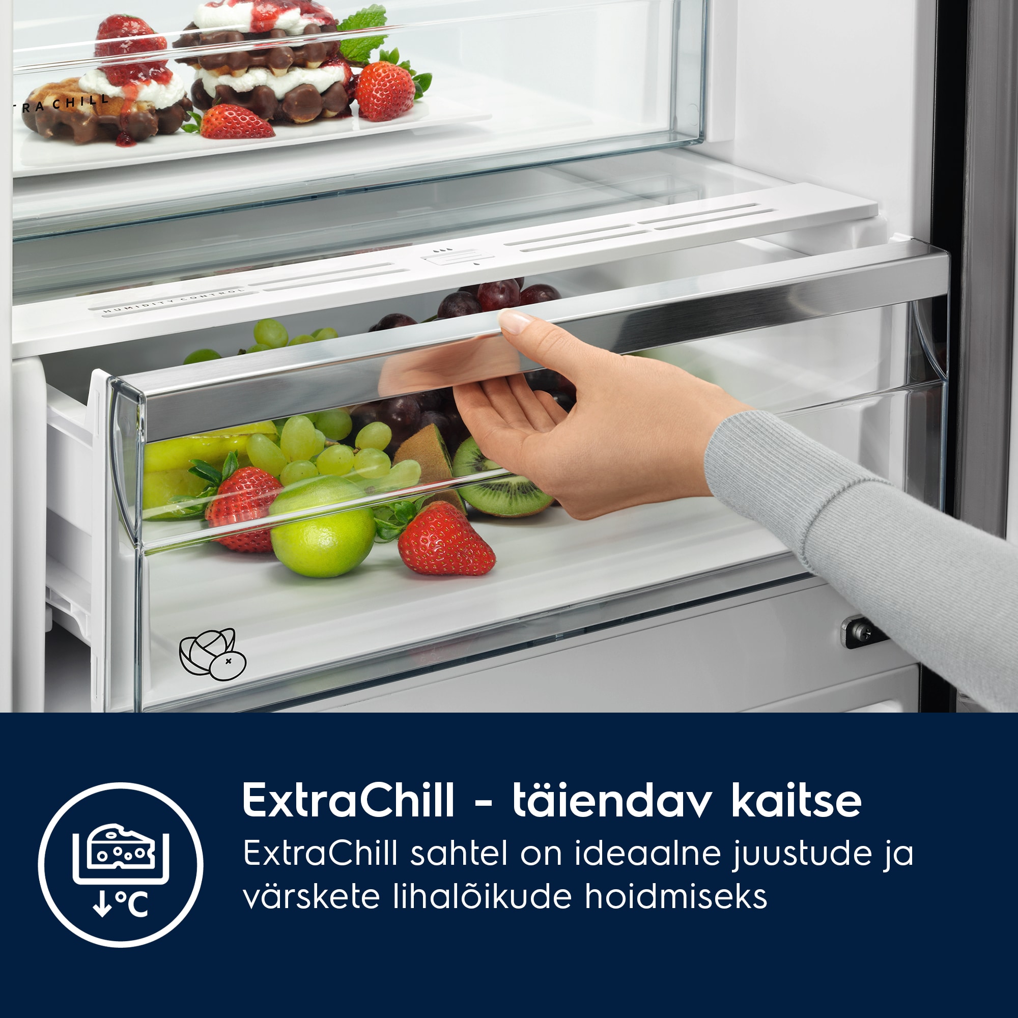 Electrolux - Integreeritav külmik-sügavkülmik - E8MNCD18S