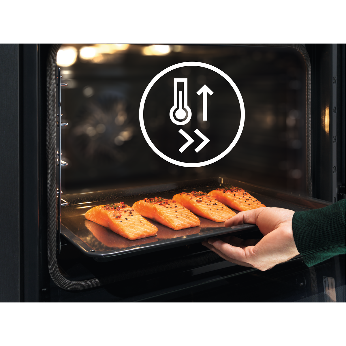 Electrolux - Ahi - EOE7P31Z