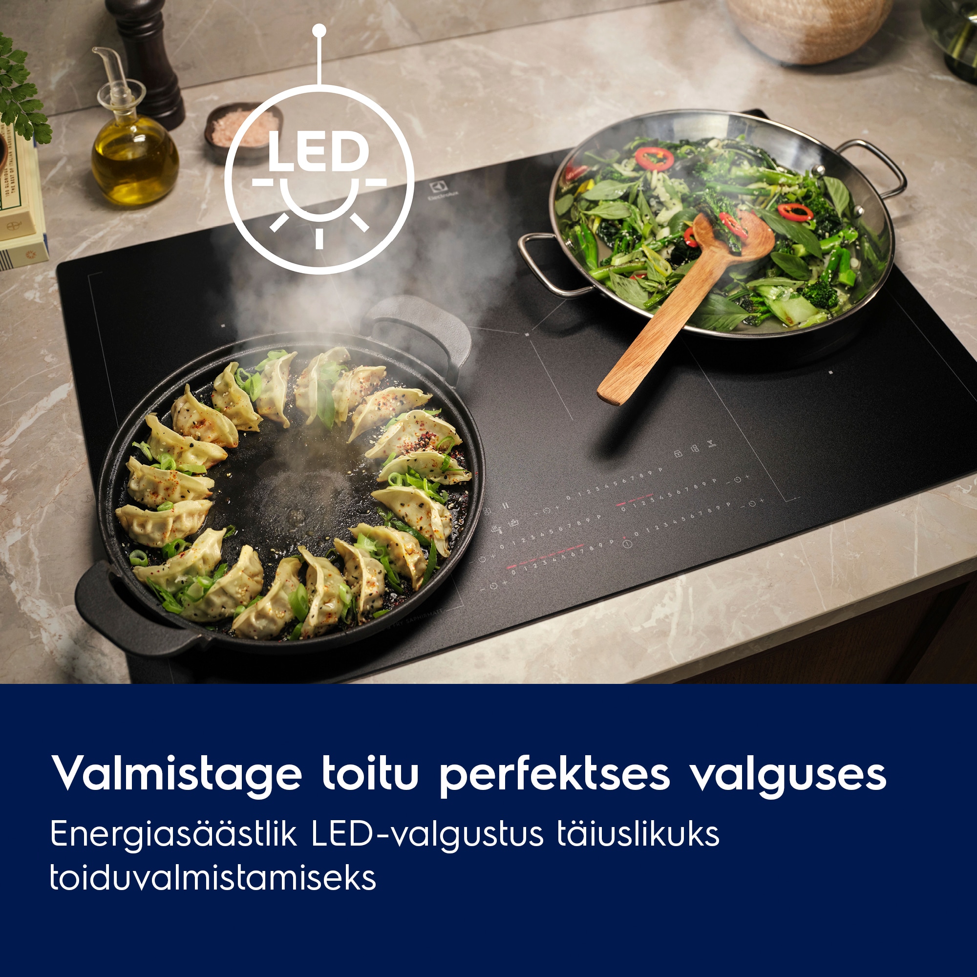 Electrolux - 60cm õhupuhasti - LFP616X