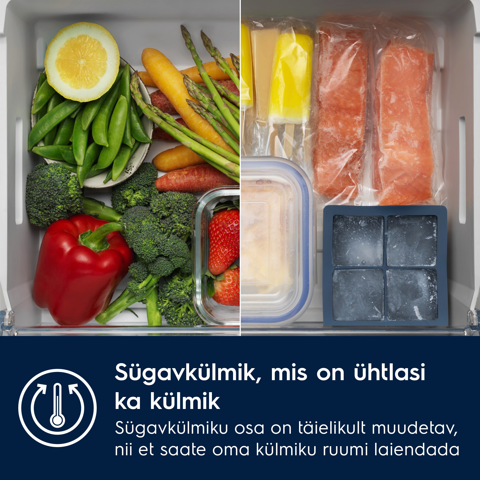 Electrolux - Integreeritav külmik-sügavkülmik - ENV9MC18S
