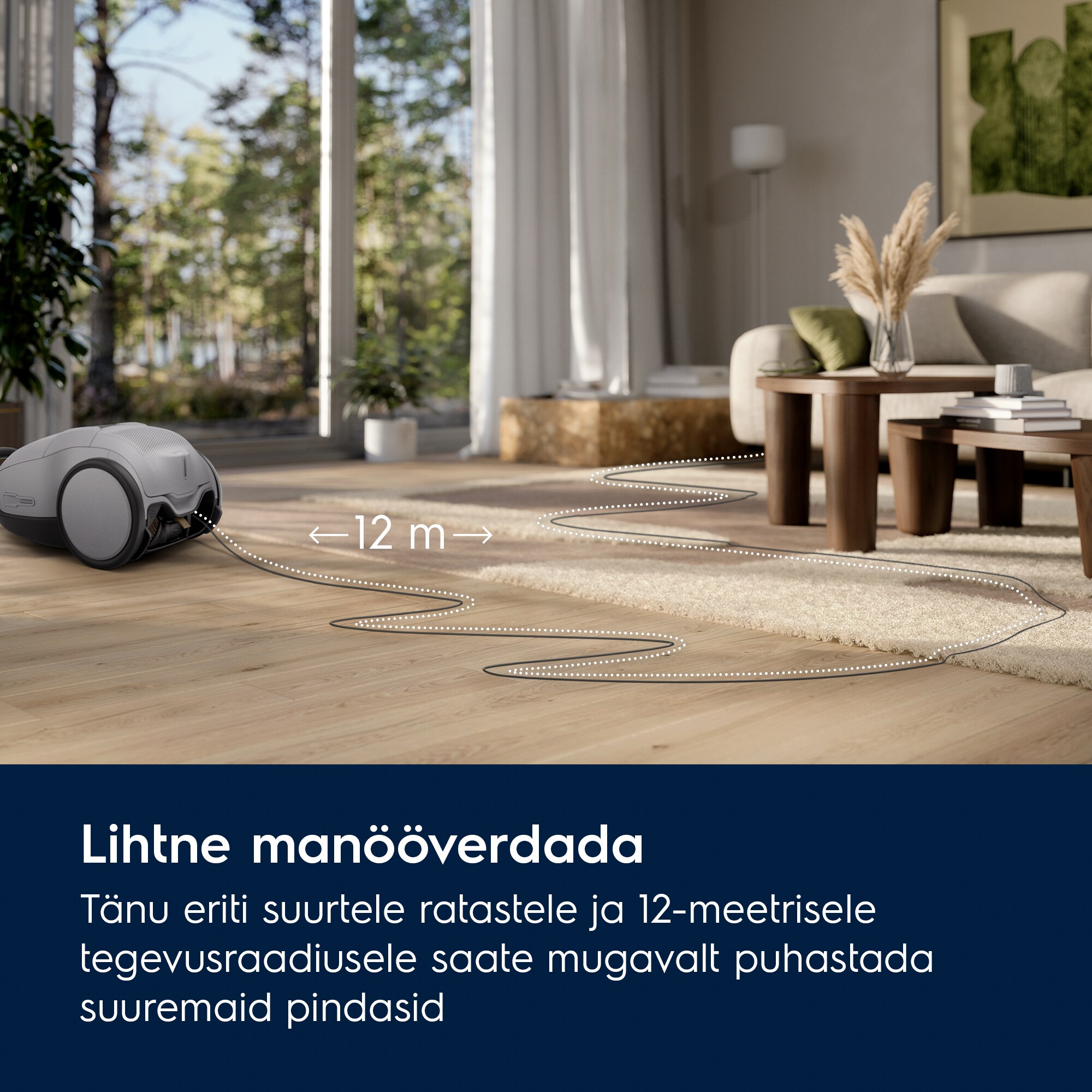 Electrolux - Tolmuimeja - EB81A3UG