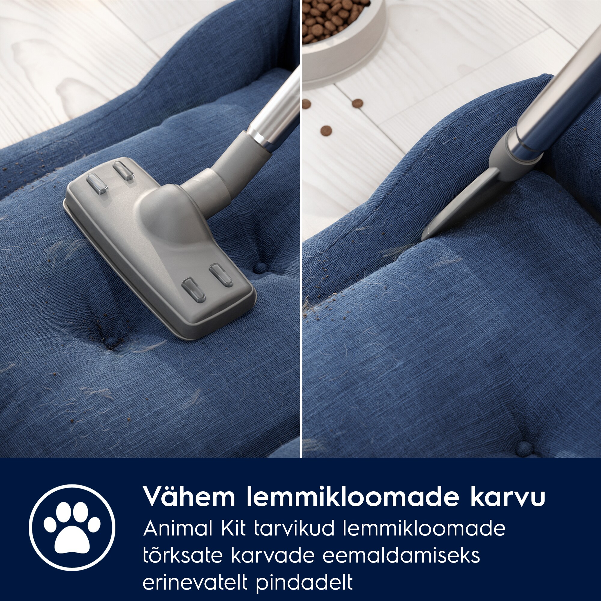 Electrolux - Tolmuimeja - EB61A5UG