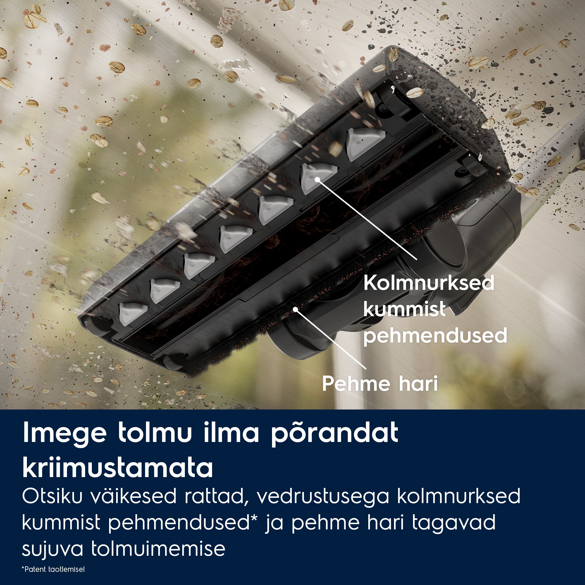 Electrolux - Tolmuimeja - EB81A3UG