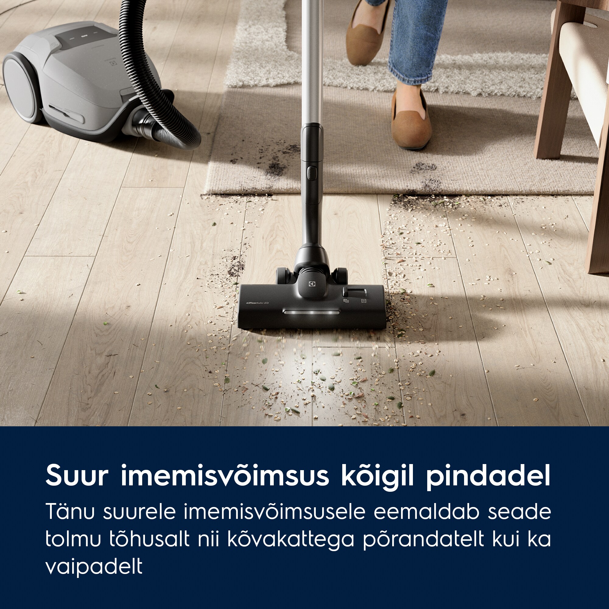 Electrolux - Tolmuimeja - EB81A3UG