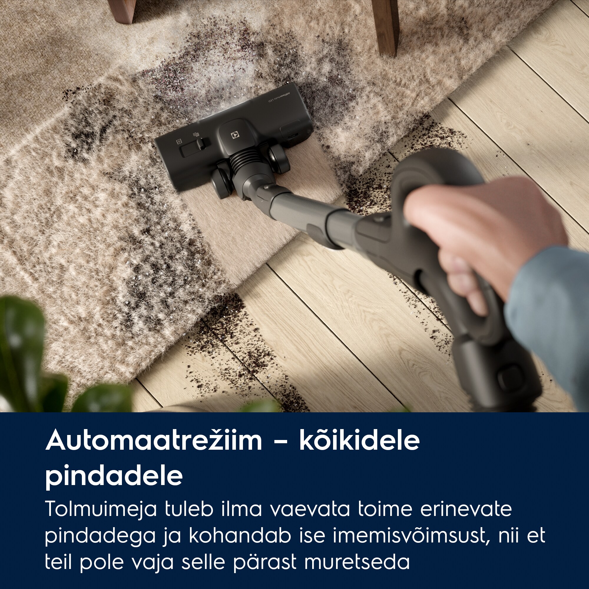 Electrolux - Tolmuimeja - EB81A3UG