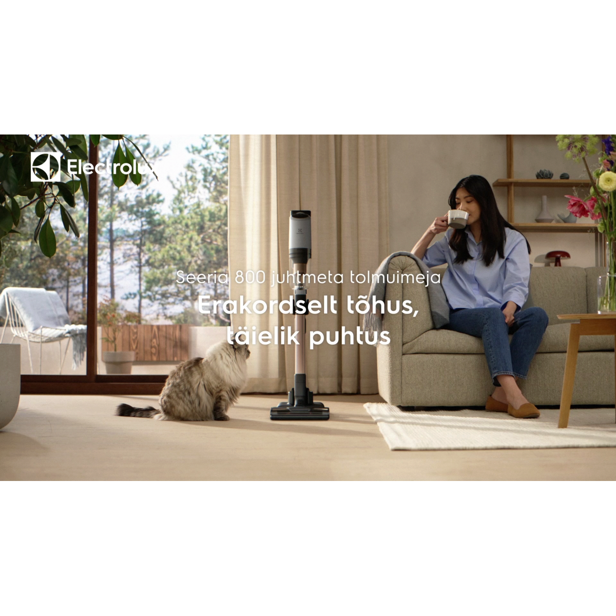 Electrolux - Juhtmeta varstolmuimejad - EP82AB25UG