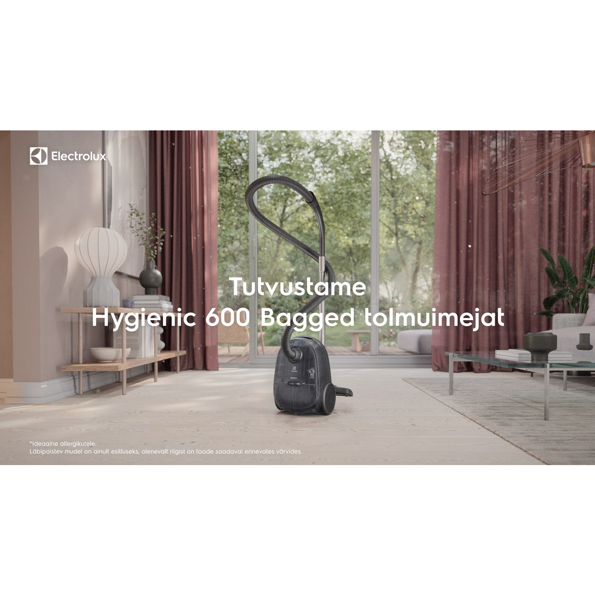 Electrolux - Tolmuimeja - EB61H6SW