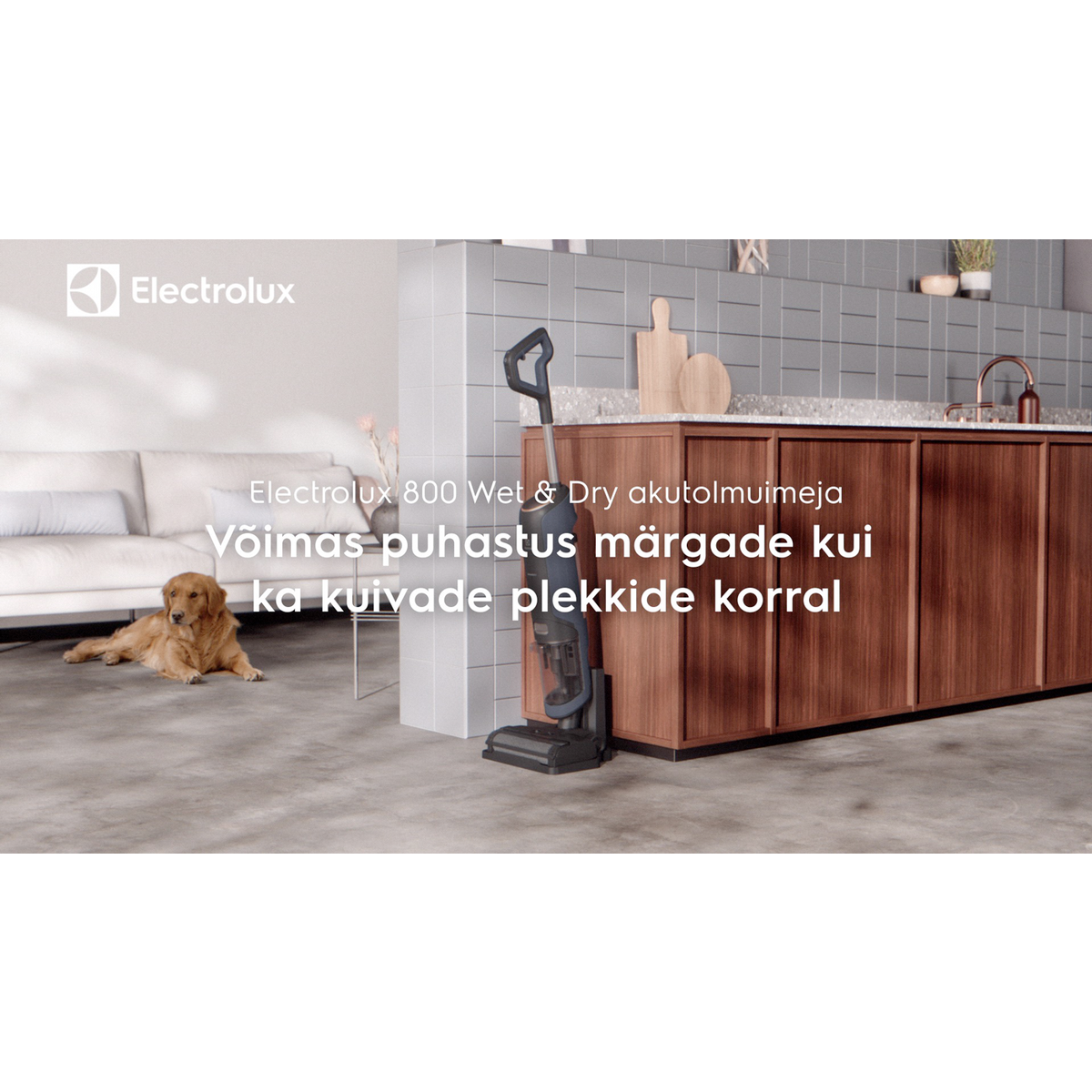 Electrolux - Wet & Dry juhtmeta tolmuimeja - EW81U3DB