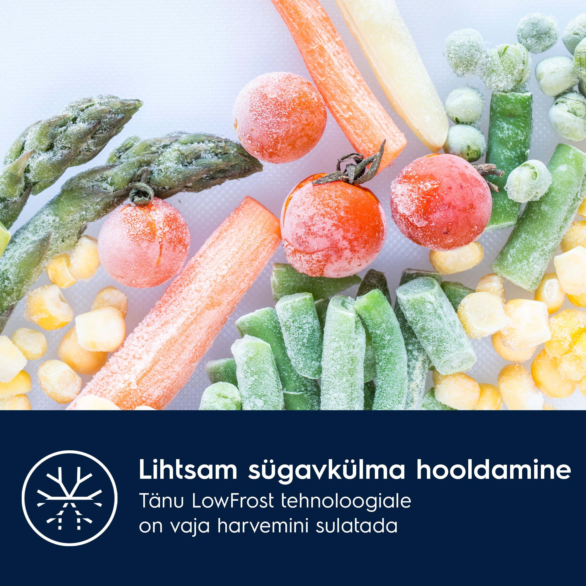 Electrolux - Integreeritav külmik-sügavkülmik - LND5FE18S