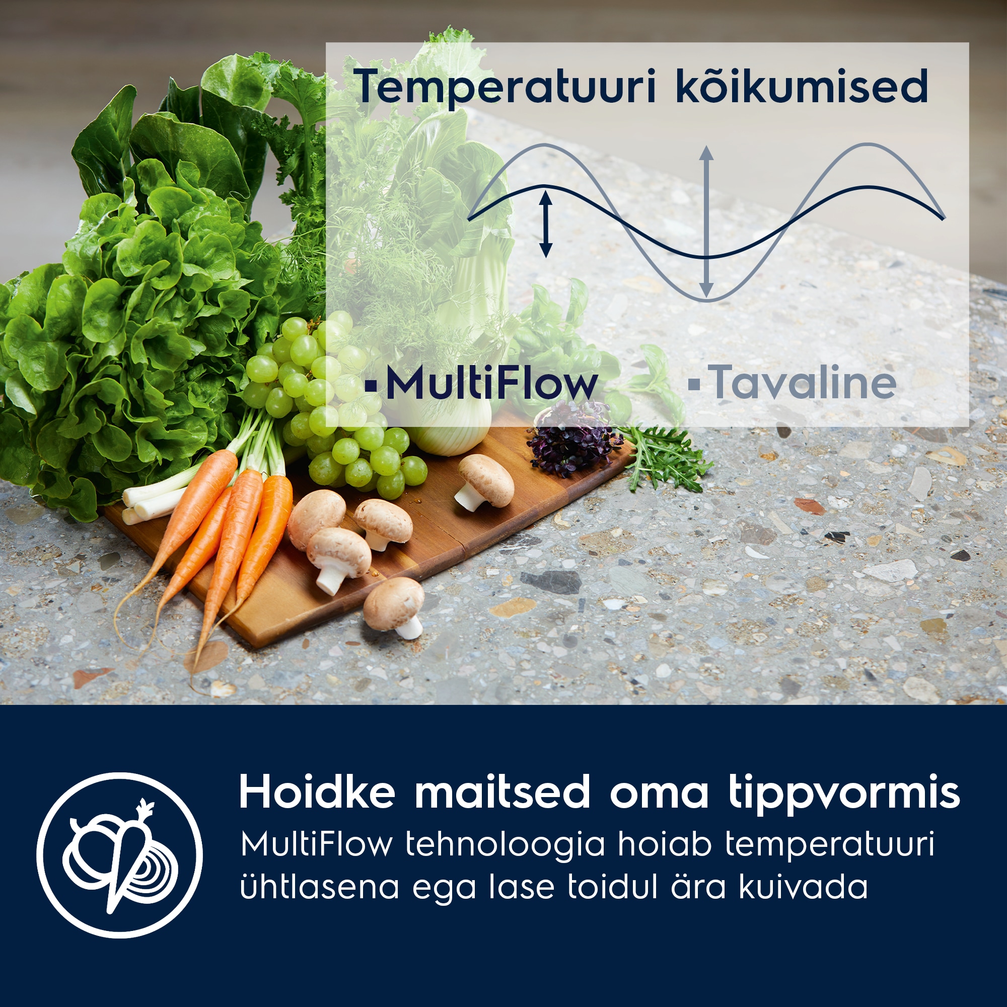 Electrolux - Integreeritav külmik-sügavkülmik - ENTMUSP8S