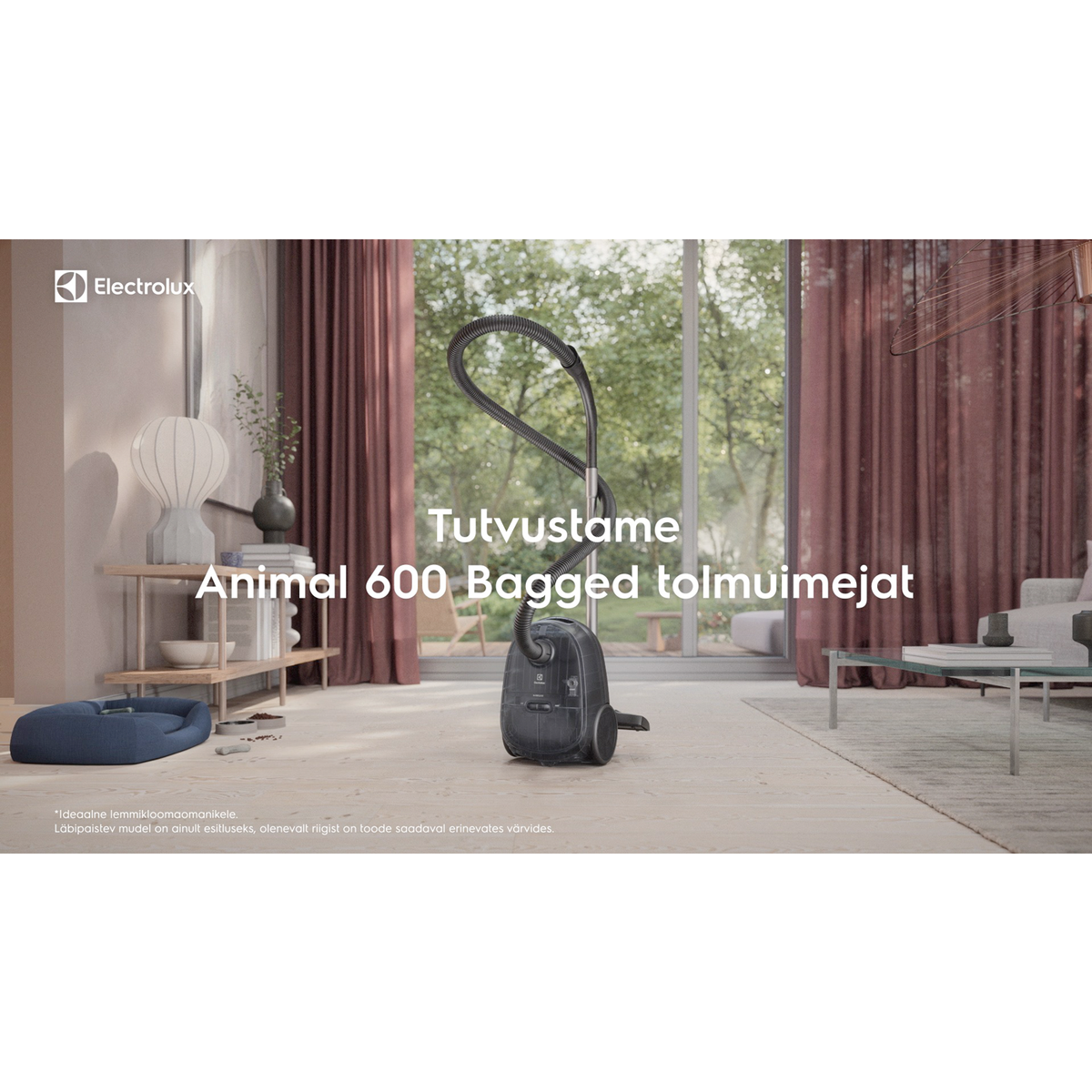 Electrolux - Tolmuimeja - EB61A5UG