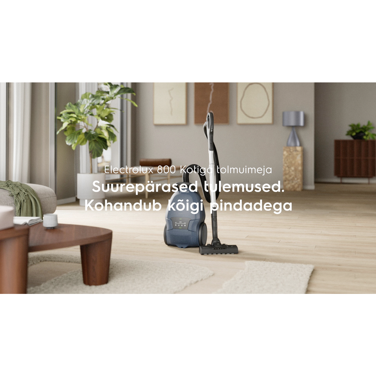 Electrolux - Tolmuimeja - EB81U1DB