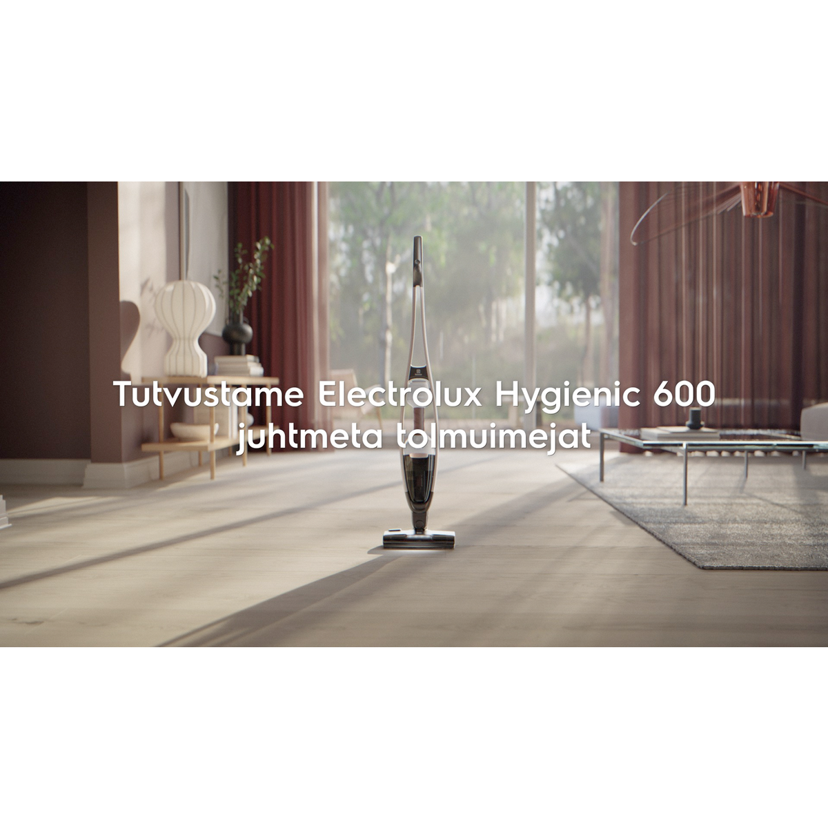 Electrolux - Juhtmeta varstolmuimejad - ES62P25WET