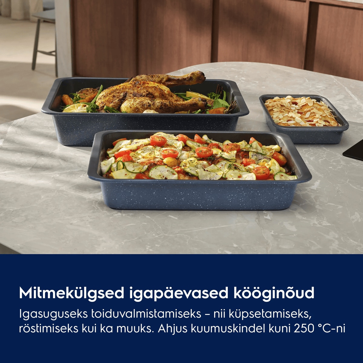Mitmekülgsed igapäevased kööginõud Igasuguseks toiduvalmistamiseks – nii küpsetamiseks, röstimiseks kui ka muuks. Ahjus kuumuskindel kuni 250 °C-ni