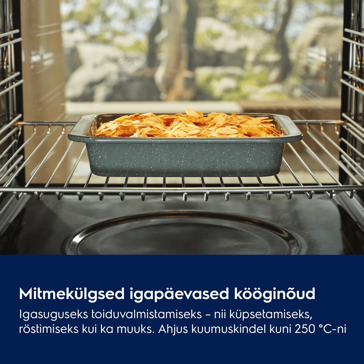 Mitmekülgsed igapäevased kööginõud Igasuguseks toiduvalmistamiseks – nii küpsetamiseks, röstimiseks kui ka muuks. Ahjus kuumuskindel kuni 250 °C-ni