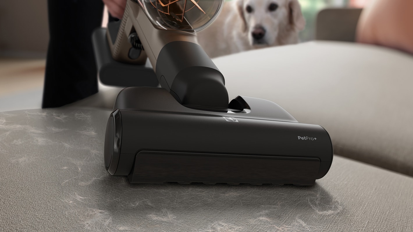 Dammsugare som städar bort djurhår