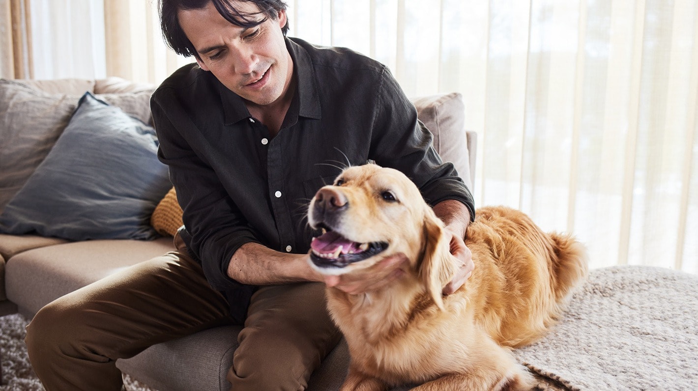 Man som klappar sin Golden Retriever