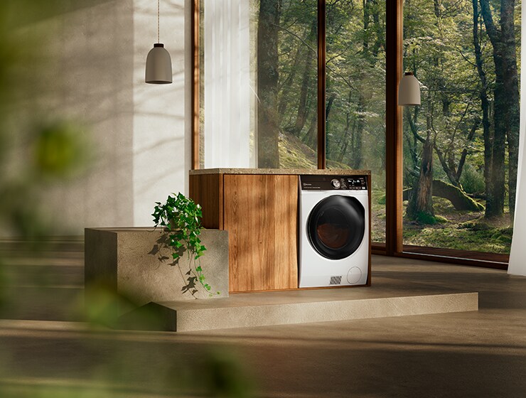 Pesumasin toas, taustal suur aken.