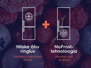 Kuidas toimib intelligentne NoFrost süsteem?